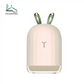WM011 HUMIDIFIER (with free fragrance/essential oil)
